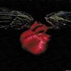 images/avatars/avatar-531.jpg